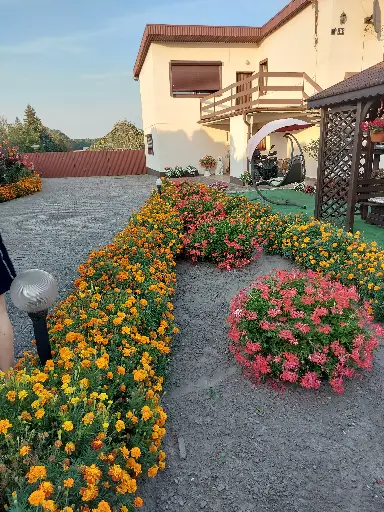 Turki aksamitki